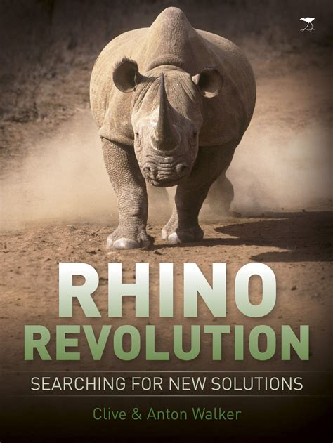 The Magic Rhino's Visual Language: Analyzing R6ndr's Artistic Style